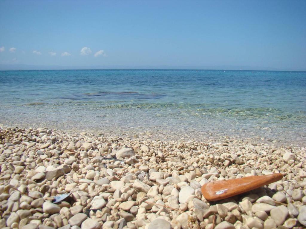 Dariana Daire Makarska Dış mekan fotoğraf